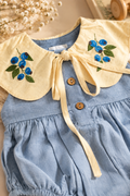 Bluberry Bloom Romper